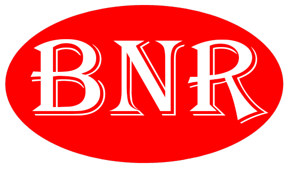 https://www.bashukinathgroup.com/img/icons/bnr.png